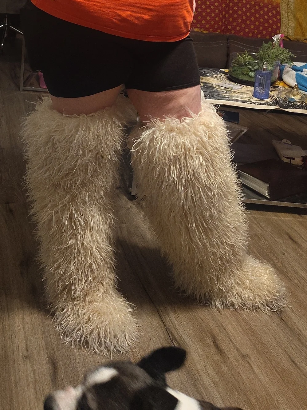Source Unknown Cream Fluffy Over-the-Knee Boots
